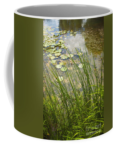 Water; Nature; Grasses; Lily; Lily Pond; Pads; Lily Pond; Green; Flowers; Reflection; Sky; Beautiful; Pretty; Natural; Side Coffee Mug featuring the photograph The Side of the Lily Pond by Margie Hurwich