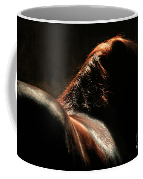 Horse Coffee Mug featuring the photograph The Silhouette by Ang El