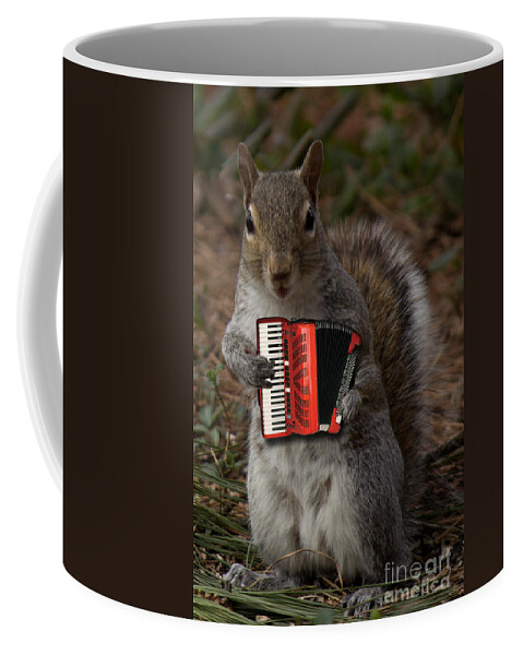 Furry Coffee Mug featuring the photograph The Squirrel and his Accordion by Sandra Clark