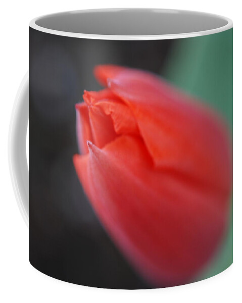 Tulip Coffee Mug featuring the photograph The Tip of the Tulip by Kathy Paynter