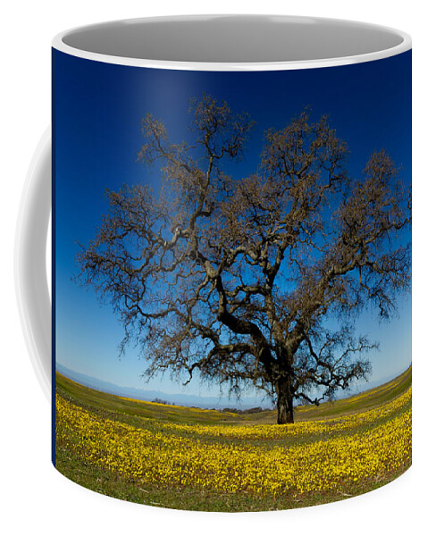 Wildflower Coffee Mug featuring the photograph THE Tree On Table Mountain by Robert Woodward
