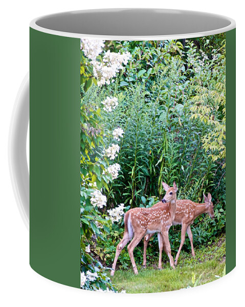 Fawns Coffee Mug featuring the photograph The Twin Fawns on the Move by Kristin Hatt