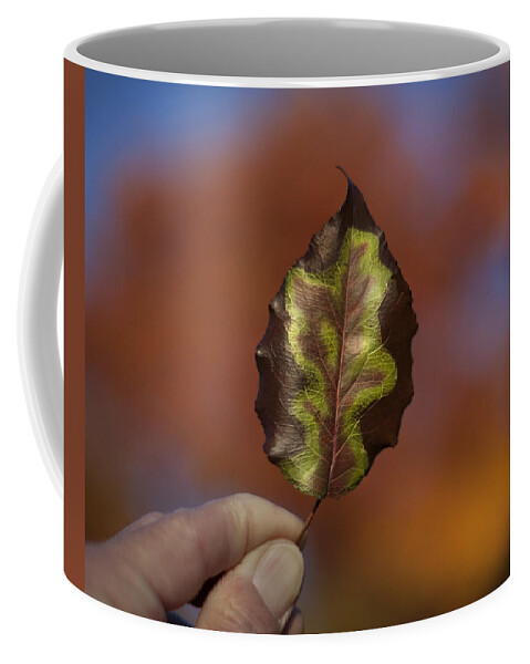  Coffee Mug featuring the photograph The Two-Tone by Greg Kopriva
