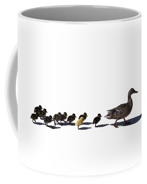 Animal Coffee Mug featuring the photograph The Ugly Duckling by Lars Lentz