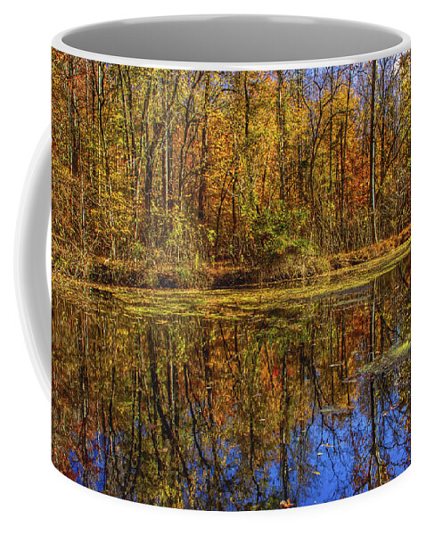 Autumn Coffee Mug featuring the photograph The Vibrancy of Leaves by Kathi Isserman