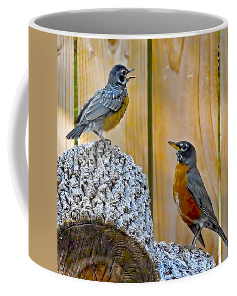 Voice Coffee Mug featuring the photograph The Voice Lesson by Gary Holmes