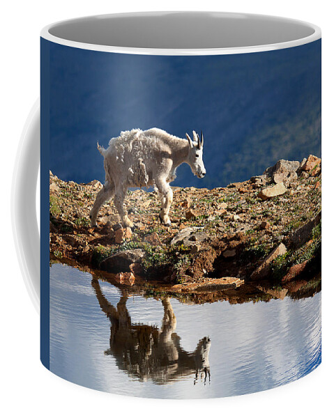 Mountain Goats Coffee Mug featuring the photograph The Walk-About by Jim Garrison