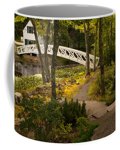 Acadia National Park Coffee Mug featuring the photograph The Walk by Paul Mangold