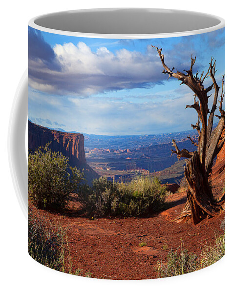 Canyonlands Coffee Mug featuring the photograph The Watchman by Jim Garrison