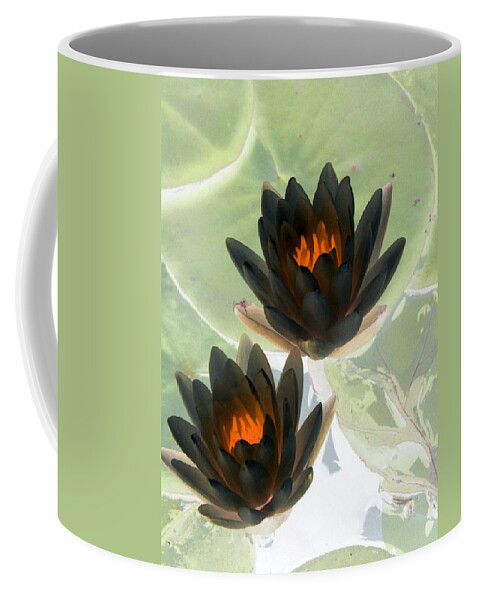 Water Lilies Coffee Mug featuring the photograph The Water Lilies Collection - PhotoPower 1046 by Pamela Critchlow