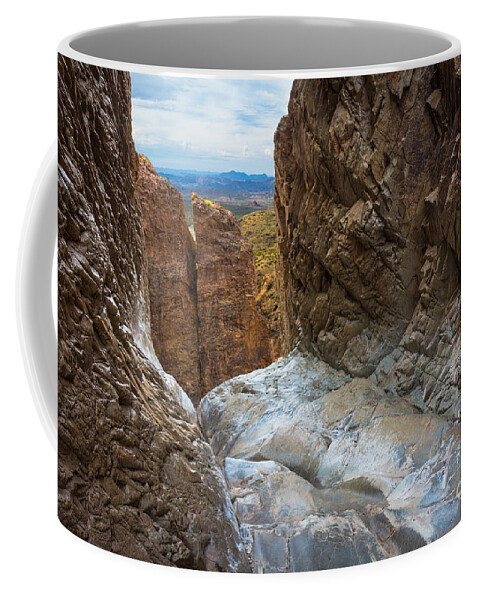 America Coffee Mug featuring the photograph The Window Pouroff by Inge Johnsson