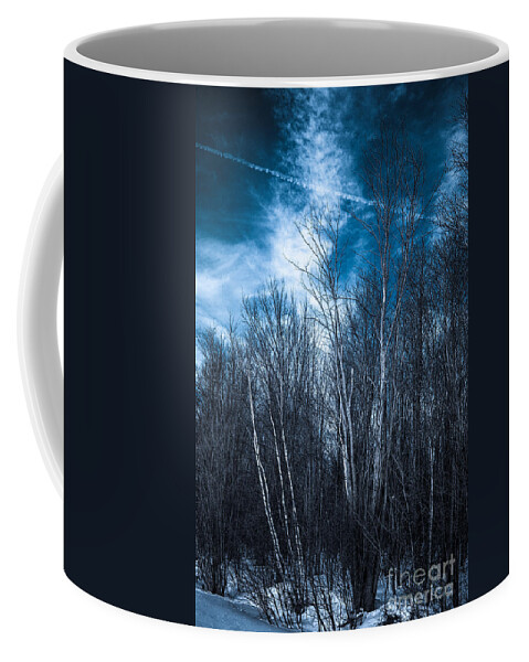 Winter Coffee Mug featuring the photograph The Winter Blues by Bianca Nadeau