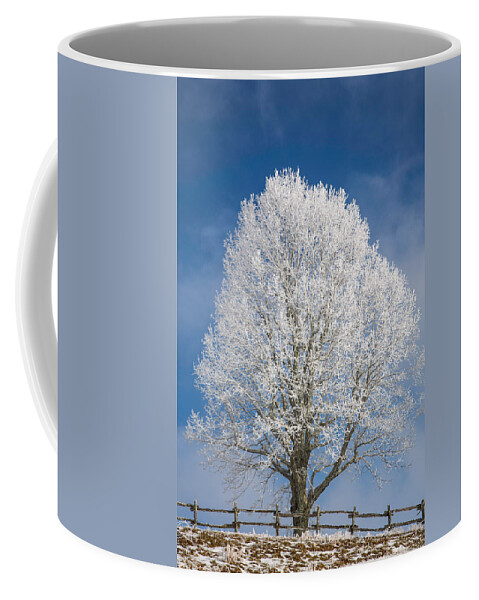 Tree Coffee Mug featuring the photograph The Winter Sentry by John Haldane