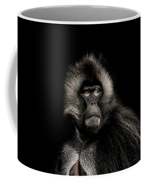 Gelada Coffee Mug featuring the photograph The young Warrior by Paul Neville