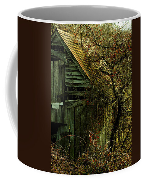 Barn Coffee Mug featuring the photograph There Will Come Soft Rains by Rebecca Sherman