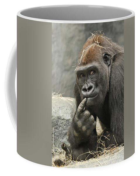 Gorilla Coffee Mug featuring the photograph Thinking It Over by Patty Colabuono