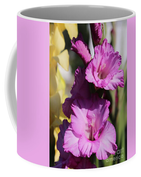 Pink Flowers Coffee Mug featuring the photograph Thinking of You with Gladiolus by Carol Groenen