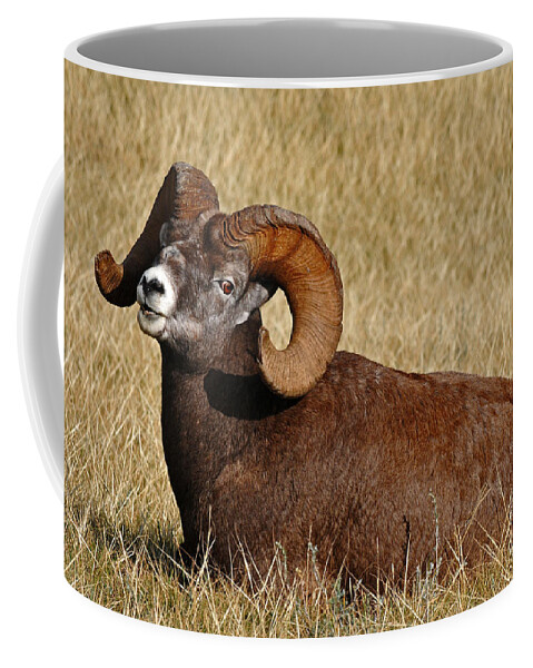 Wildlife Coffee Mug featuring the photograph This is My Space by Vivian Christopher