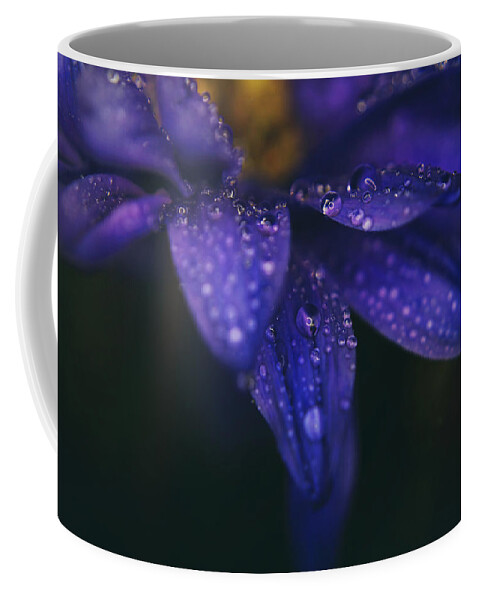 Flowers Coffee Mug featuring the photograph Those Tears You Cry by Laurie Search