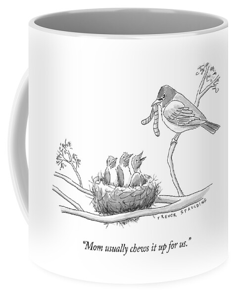 Three Baby Birds In A Nest Talk To A Grown Bird Coffee Mug