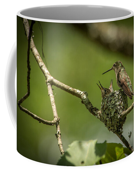 Archilochus Colubris Coffee Mug featuring the photograph Three Beaks by Joye Ardyn Durham