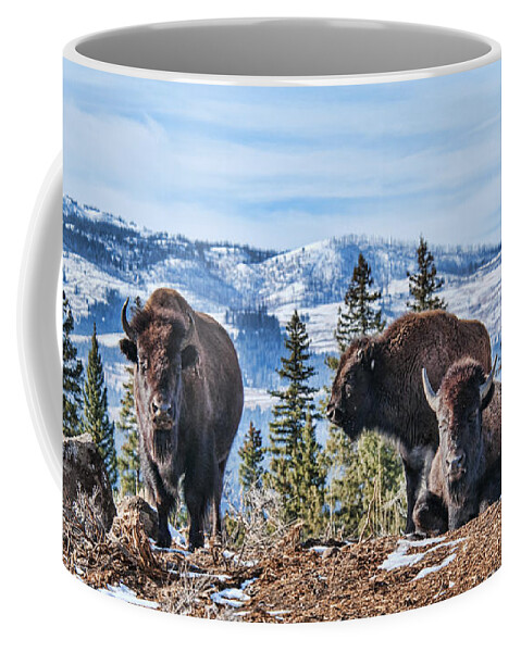 Bison Coffee Mug featuring the photograph Three Bison by Gary Beeler