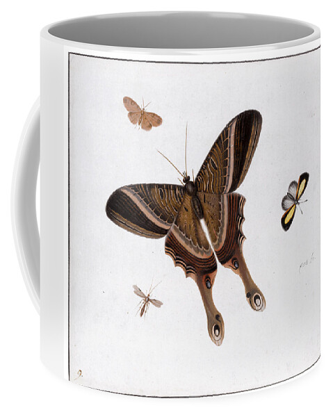 Herman Henstenburgh Coffee Mug featuring the painting Three Butterflies and a Gnat by Herman Henstenburgh
