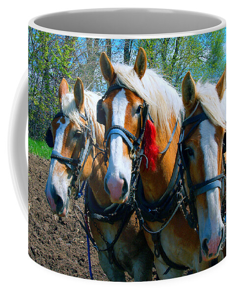  Draft Coffee Mug featuring the photograph Three Horses Break Time by Tom Jelen