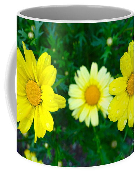 Daisies Coffee Mug featuring the photograph Three In A Row by Jacqueline Athmann