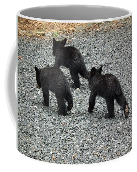 Young Coffee Mug featuring the photograph Three Little Bears in Step by Jan Dappen