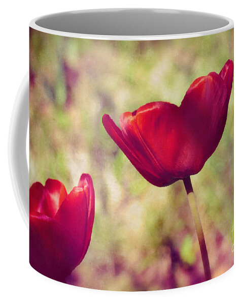 Tulips Coffee Mug featuring the photograph Three tulips by Silvia Ganora