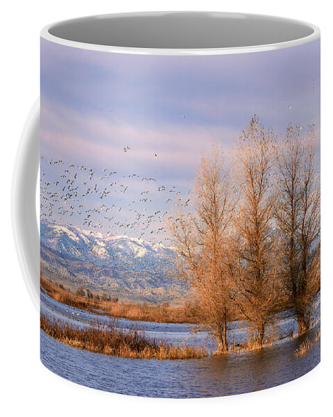 Snow Geese Coffee Mug featuring the photograph Three Willow Trees by Kathleen Bishop