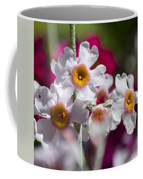 Flowers Coffee Mug featuring the photograph Three Yellow Faces by Spikey Mouse Photography