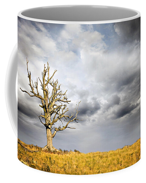 Bare Coffee Mug featuring the photograph Through The Storms by Lana Trussell