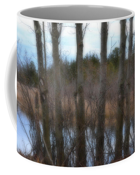 Trees Coffee Mug featuring the photograph Through the Trees by Beth Venner