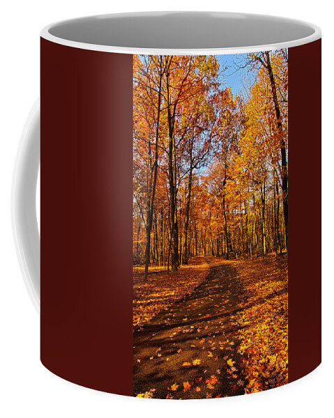 Road Coffee Mug featuring the photograph Through The Woods We Go by Phil Koch