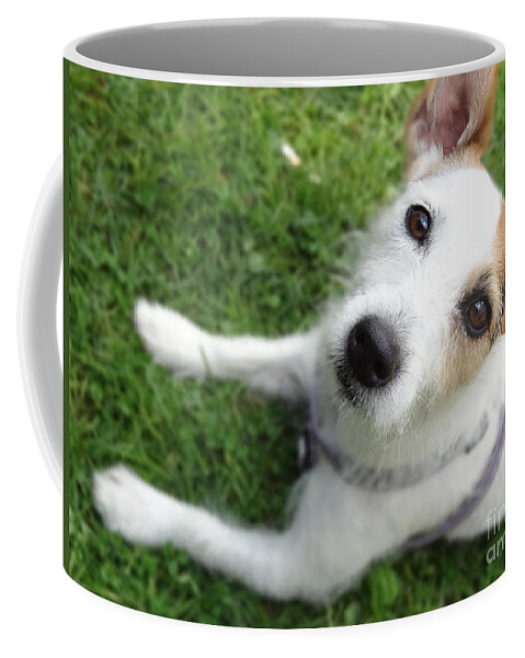 Jack Russell Coffee Mug featuring the photograph Throw it again by Laurel Best