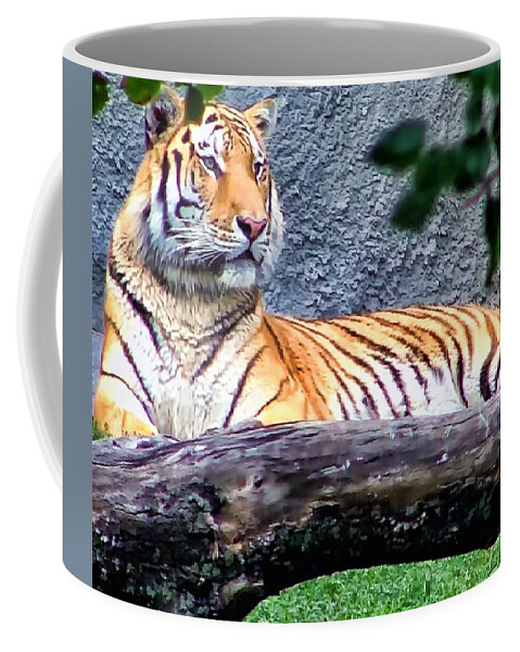 Tiger Coffee Mug featuring the photograph Tiger 1 by Dawn Eshelman