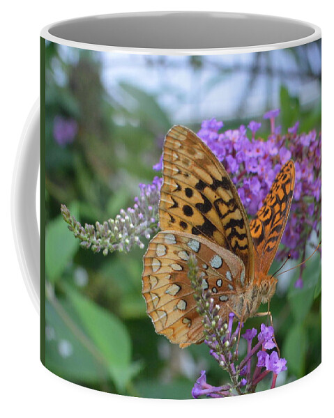 Speyeria Aphrodite Coffee Mug featuring the photograph Tiger Moth speyeria aphrodite feeding on Butterfly Bush by Stacie Siemsen