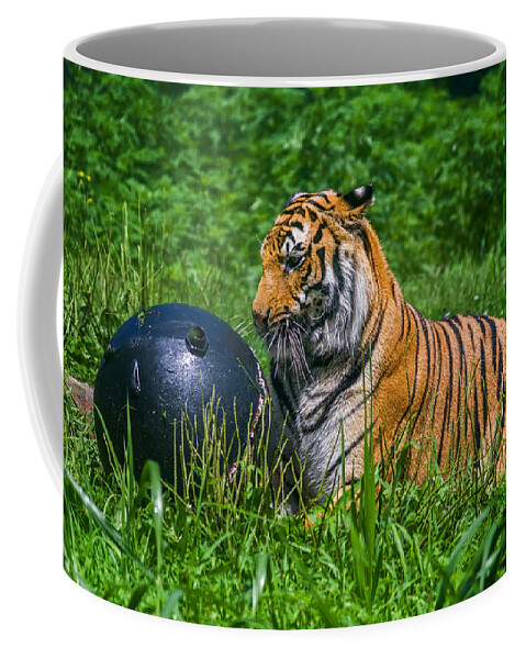 K-30 Coffee Mug featuring the photograph Tiger Playing with Ball by Lori Coleman