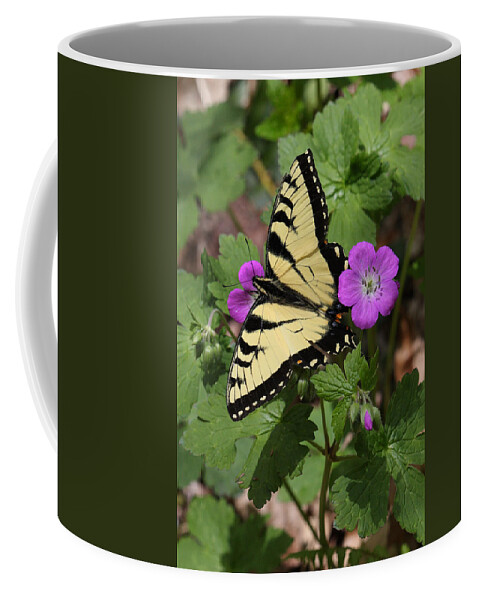 Tiger Swallowtail Butterfly On Geranium Coffee Mug featuring the photograph Tiger Swallowtail Butterfly On Geranium by Daniel Reed