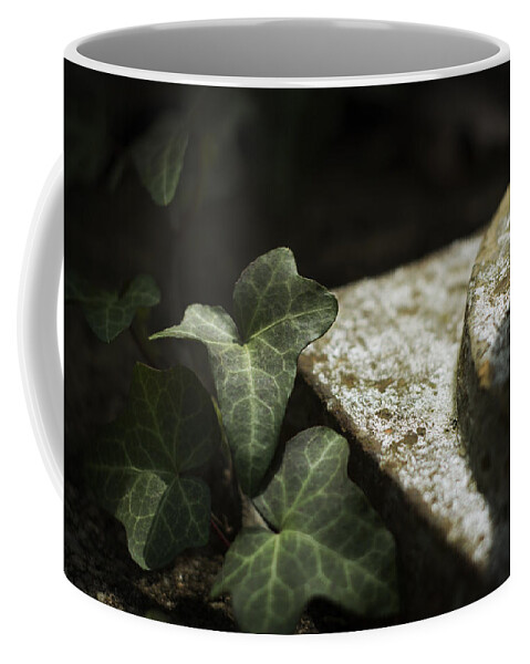 Ivy Coffee Mug featuring the photograph Time is the Substance by Rebecca Sherman