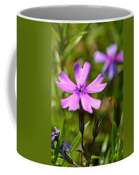Flower Coffee Mug featuring the photograph Tiny Purple Flower #1 by Beth Venner