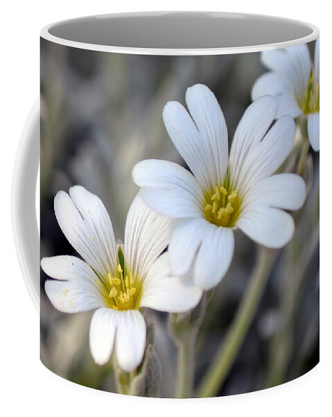 Flower Coffee Mug featuring the photograph Tiny White Flowers #1 by Beth Venner