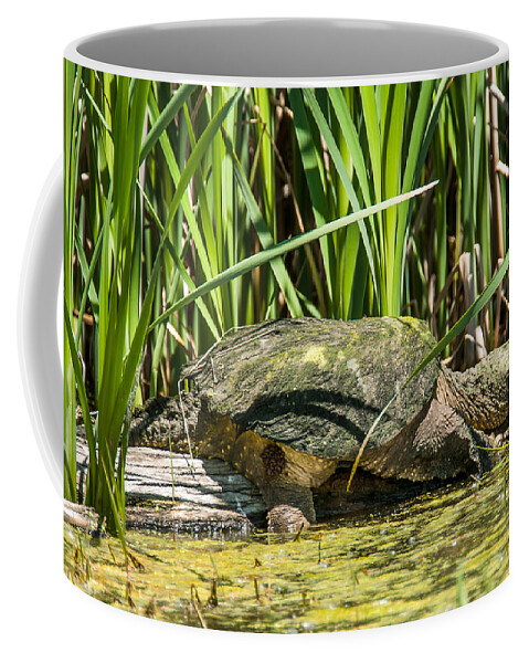 Heron Heaven Coffee Mug featuring the photograph Tired by Ed Peterson