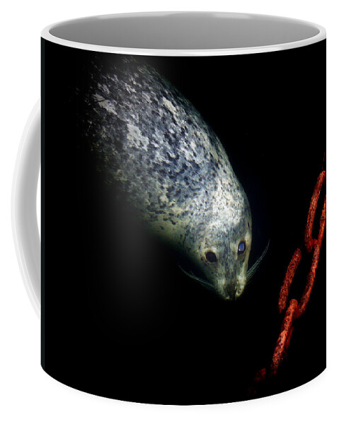 To A Pier Coffee Mug featuring the photograph To A Pier by Micki Findlay