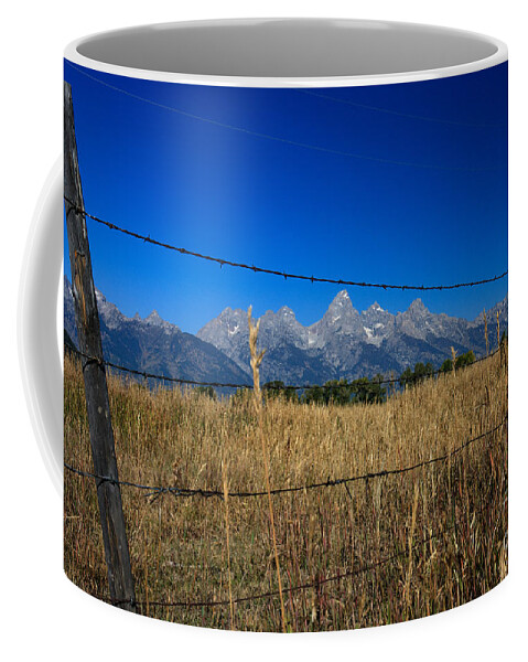 America Coffee Mug featuring the photograph To Keep All the Nature In by Karen Lee Ensley