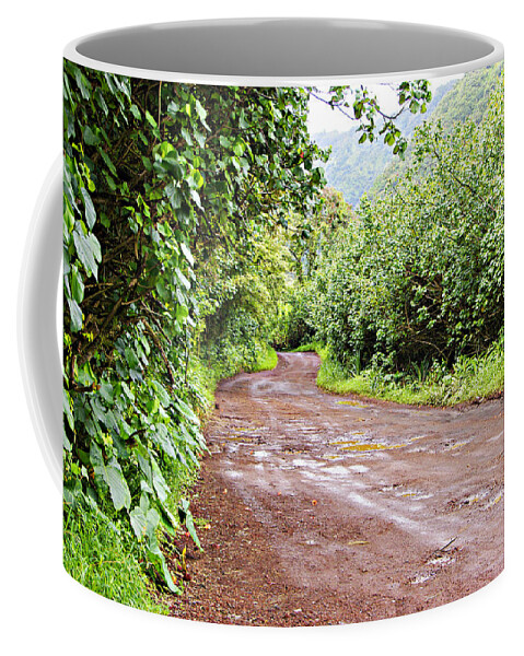 Maui Coffee Mug featuring the photograph To Seclusion by Marilyn Wilson