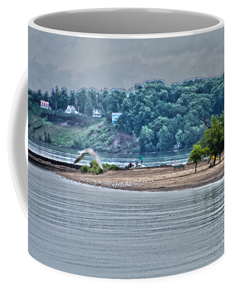 Sea Gull Coffee Mug featuring the photograph To The Beach by William Norton