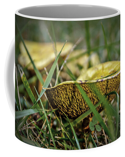 Mushroom Coffee Mug featuring the photograph Toad Throne by Rick Bartrand